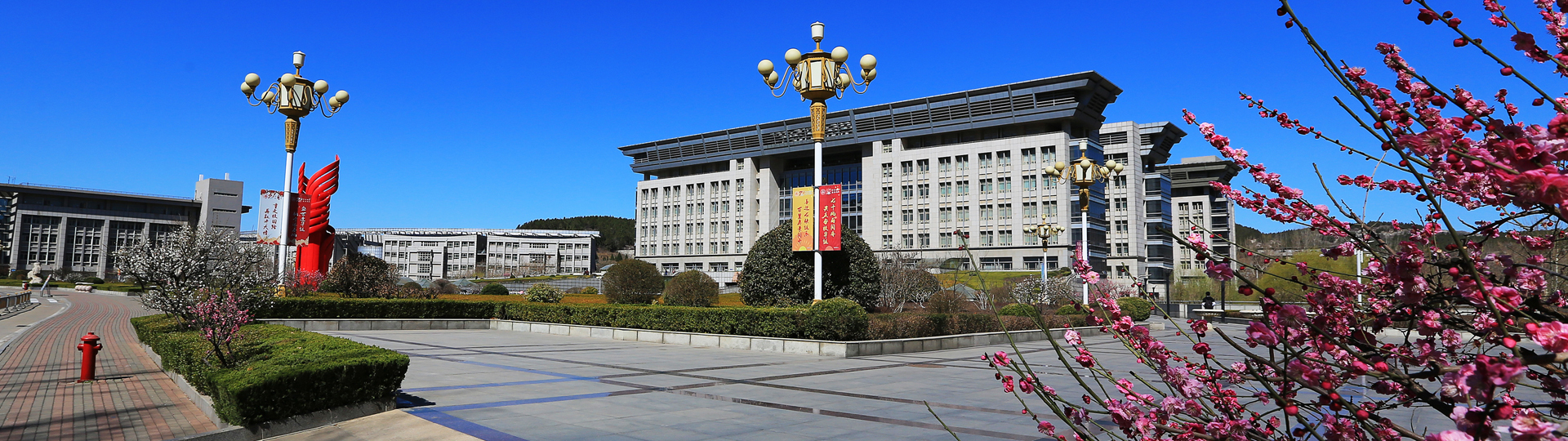 2023年山东省成人高考济南大学汉语言文学专业介绍(图1)