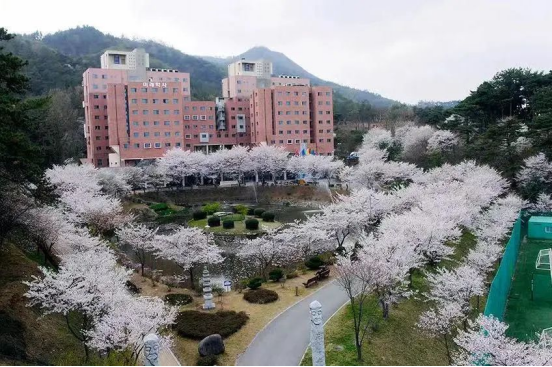 免试录取 | 2023年9月韩国东新大学2年制中文授课全日制研究生申请提醒！(图4)