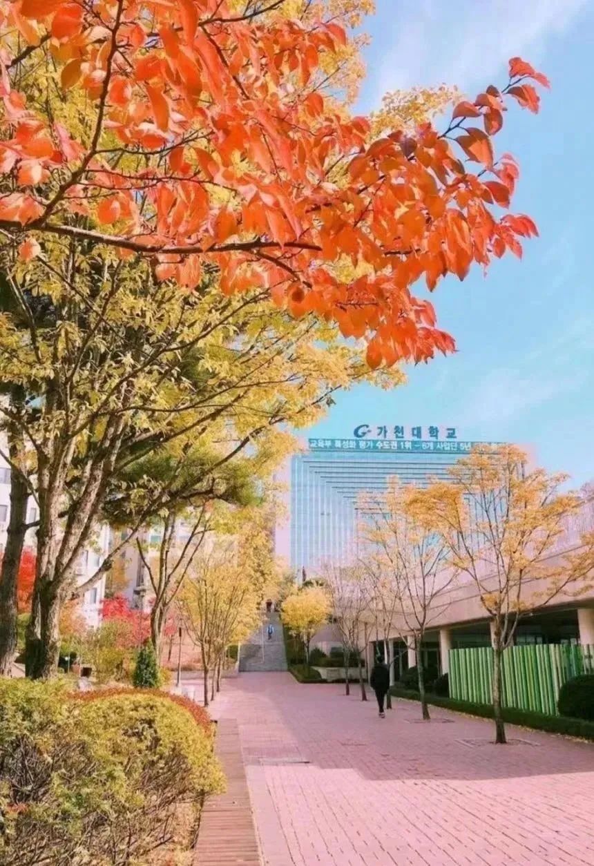 免试录取 | 2024年3月韩国嘉泉大学1.5年制多语种授课MBA研究生申请提醒！(图6)