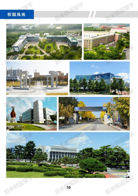 免试升本 | 2024年9月韩国大邱加图立大学（高起本）招生简章！(图12)
