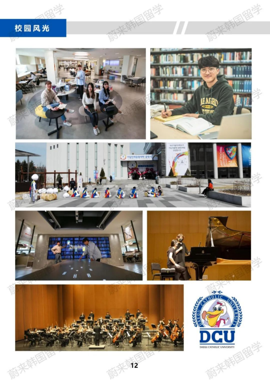免试升本 | 2024年9月韩国大邱加图立大学（高起本）招生简章！(图14)