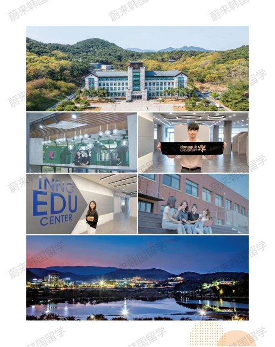 免试录取 | 2024年9月韩国东国大学本科新入&插班招生简章！（含双语授课）(图4)