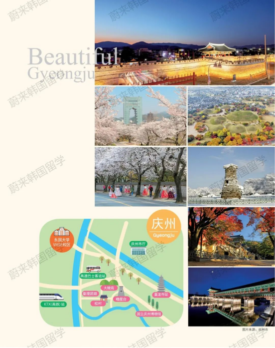 免试录取 | 2024年9月韩国东国大学本科新入&插班招生简章！（含双语授课）(图16)