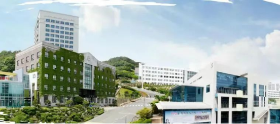 免试录取 | 2024年9月釜山科学技术大学学前教育专业一年制中文授课全日制专升本申请提醒！(图1)