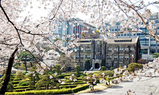日程汇总 | 2025年3月批次韩国中文授课硕博项目申请专业及招生日程汇总（11.14更新）(图9)