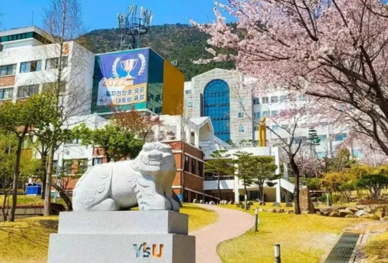 日程汇总 | 2025年3月批次韩国中文授课硕博项目申请专业及招生日程汇总（11.14更新）(图17)