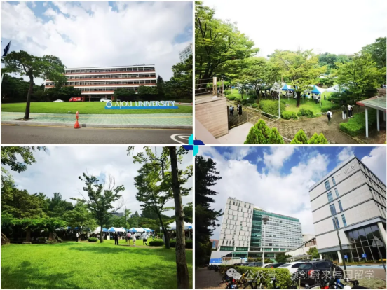 云“游”校园丨在韩国亚洲大学上学是什么样的体验？(图1)