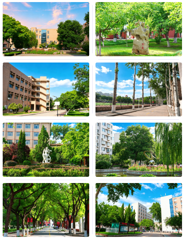免学费|2026年山东理工大学鲁科新材管培生联合培养专项班招生简章(图4) 免学费|2026年山东理工大学鲁科新材管培生联合培养专项班招生简章(图4)